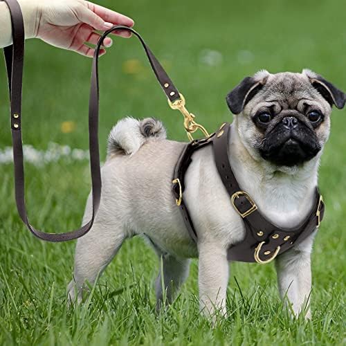 Dsfeoigy cão arnês colete ajustável em couro genuíno cão de estimação de cachorro e coleira de caminhada definida para cães médios pequenos pug beagle marrom